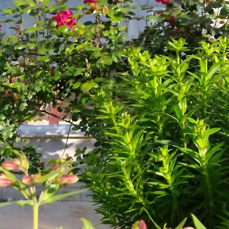 بيت للعطل Casa Mar De Fondo